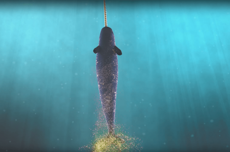 KuwalaScreenShot3 - Katrín Edda Einarsdóttir